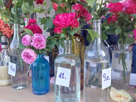 Vsaj 25 cvetov v ocenjevanju